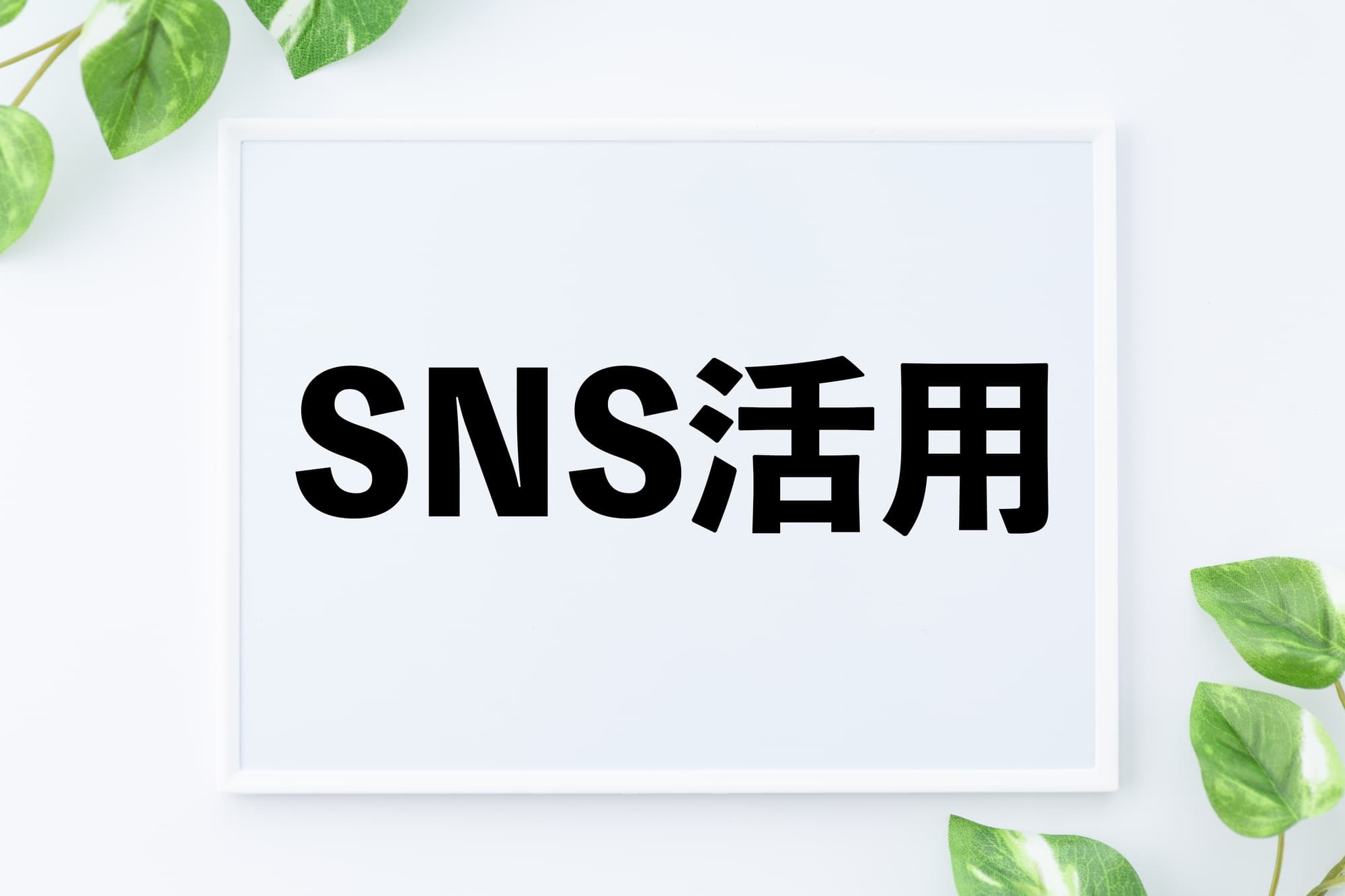 SNS運用代行の費用相場は？業務範囲別の料金と内訳、予算別の依頼内容