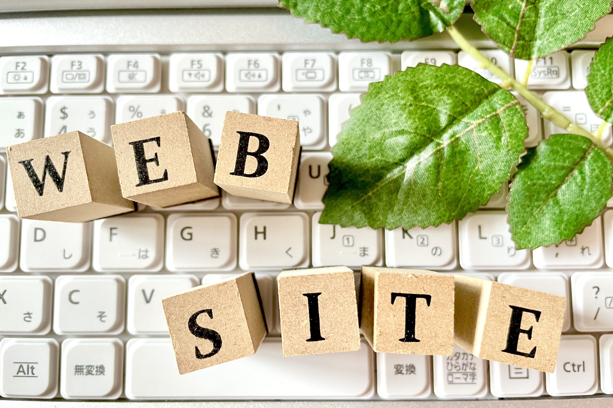 Web制作はオワコン？そういわれる理由と制作会社を選ぶポイント-1