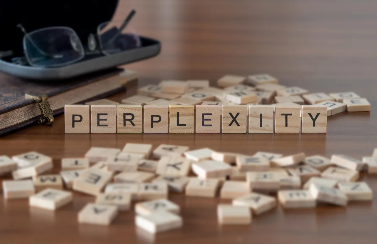Perplexity AIとは？使い方やChatGPTとの違いを解説