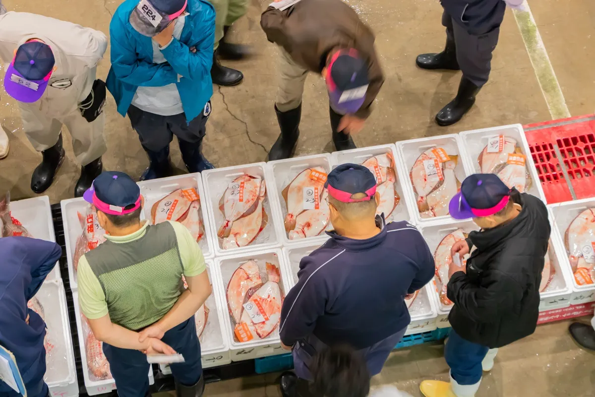 寿司職人になるには？最短で目指す3つの方法とキャリアパス