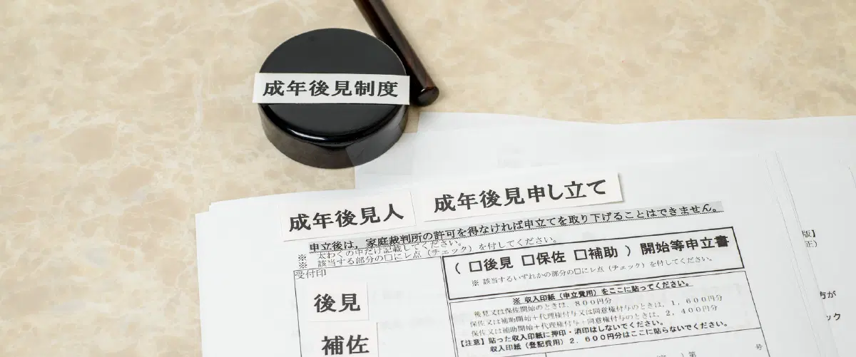 成年後見制度 成年後見申立というタイトルの書類