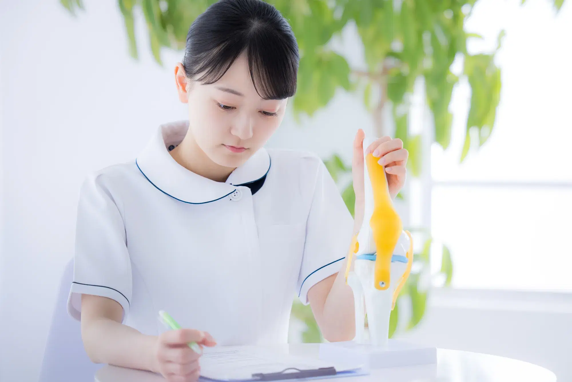 白衣を着た女性が小さい筋肉と骨を模した模型を持ちながら勉強している。