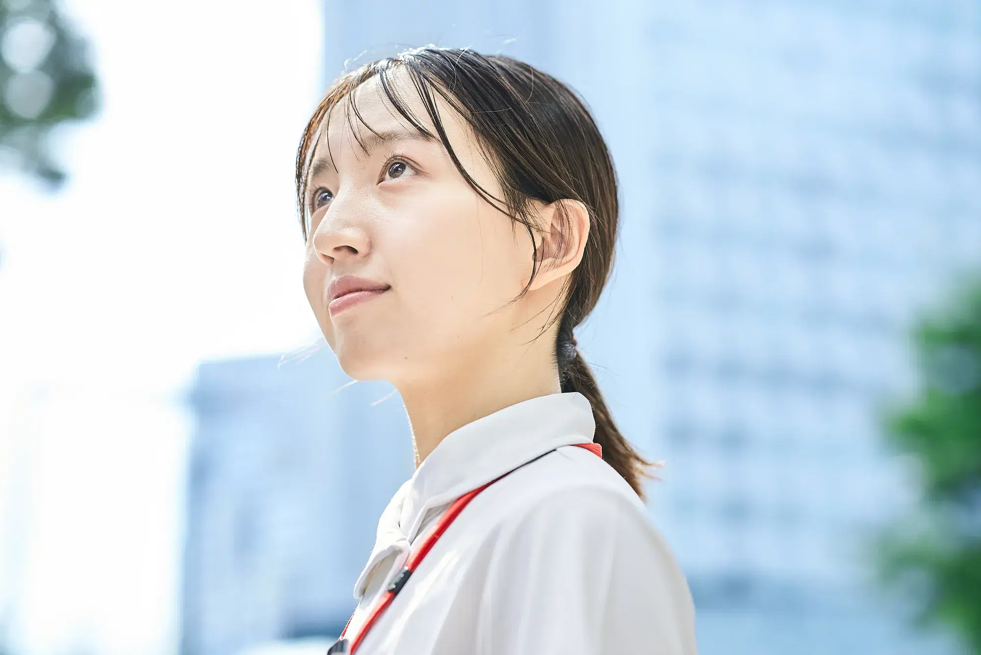 セクション画像