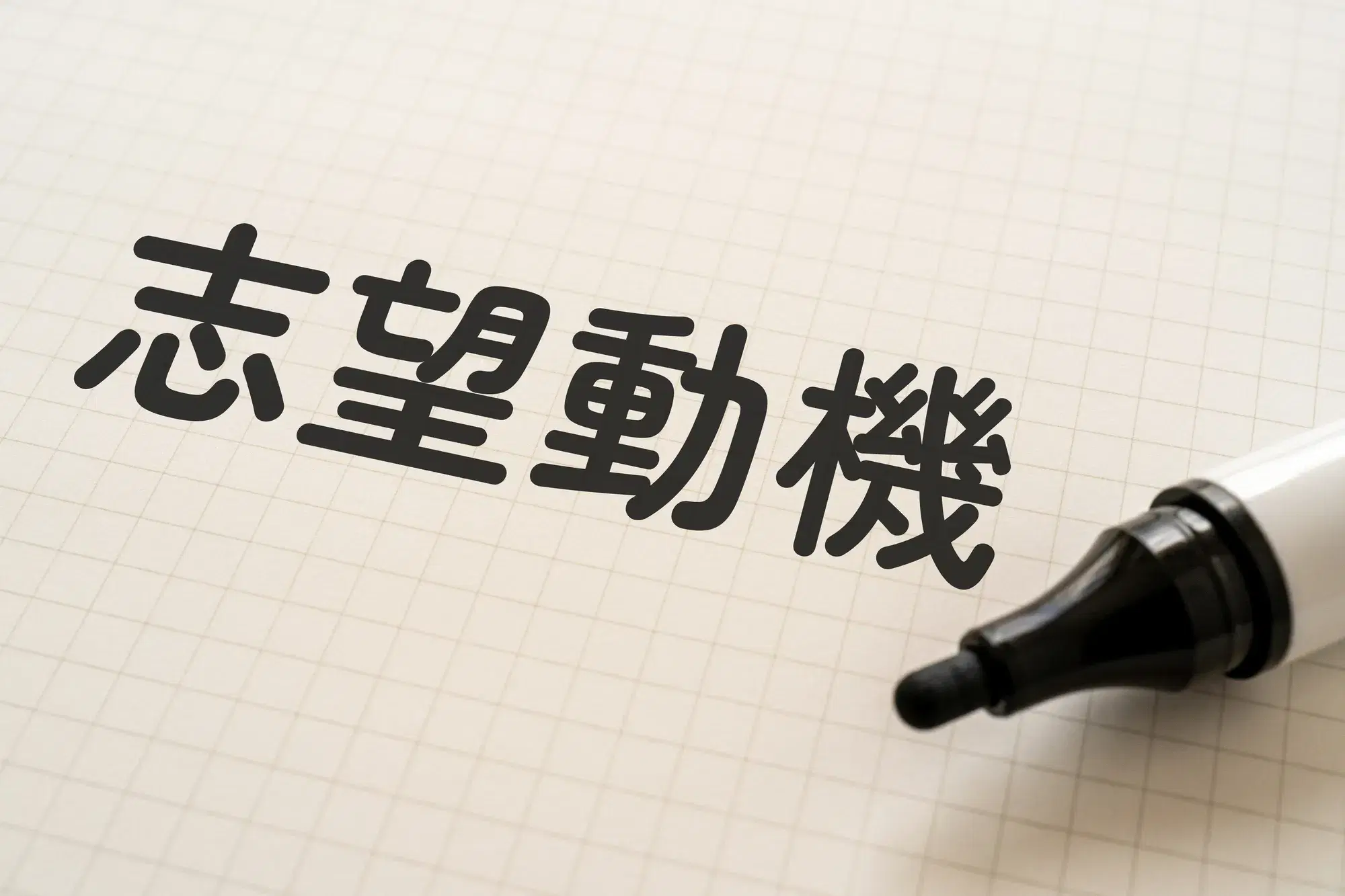 セクション画像