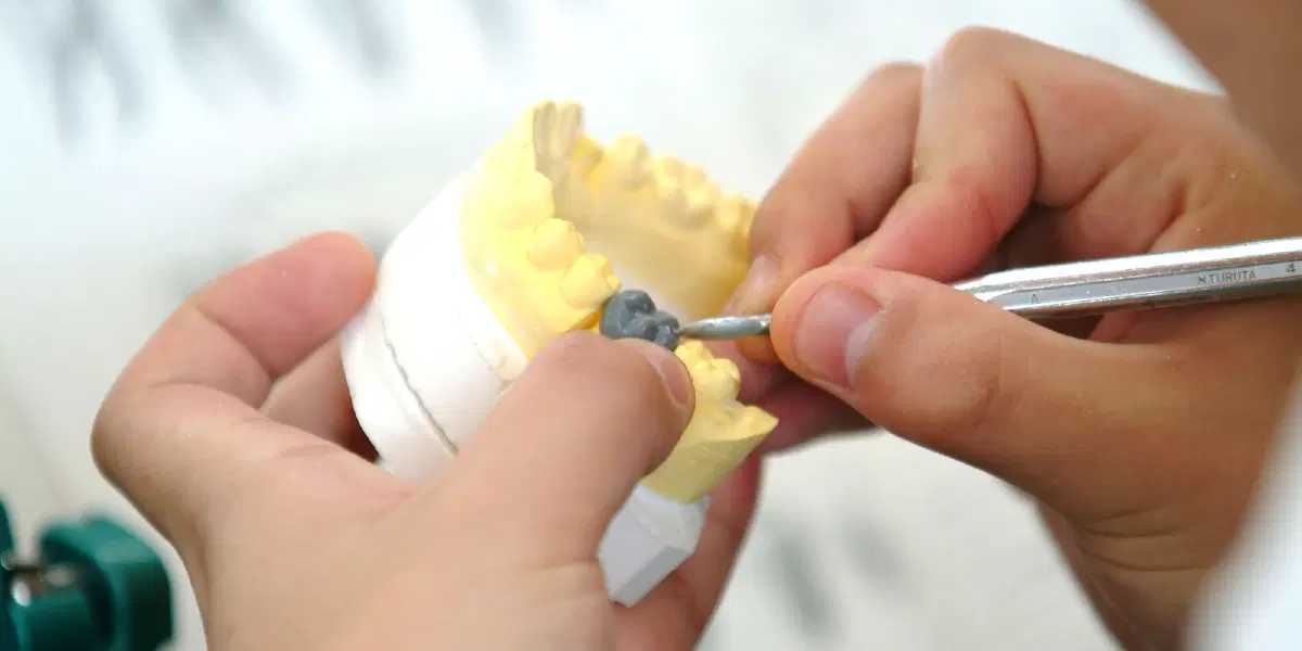 歯の詰め物や被せ物を制作する歯科技工士