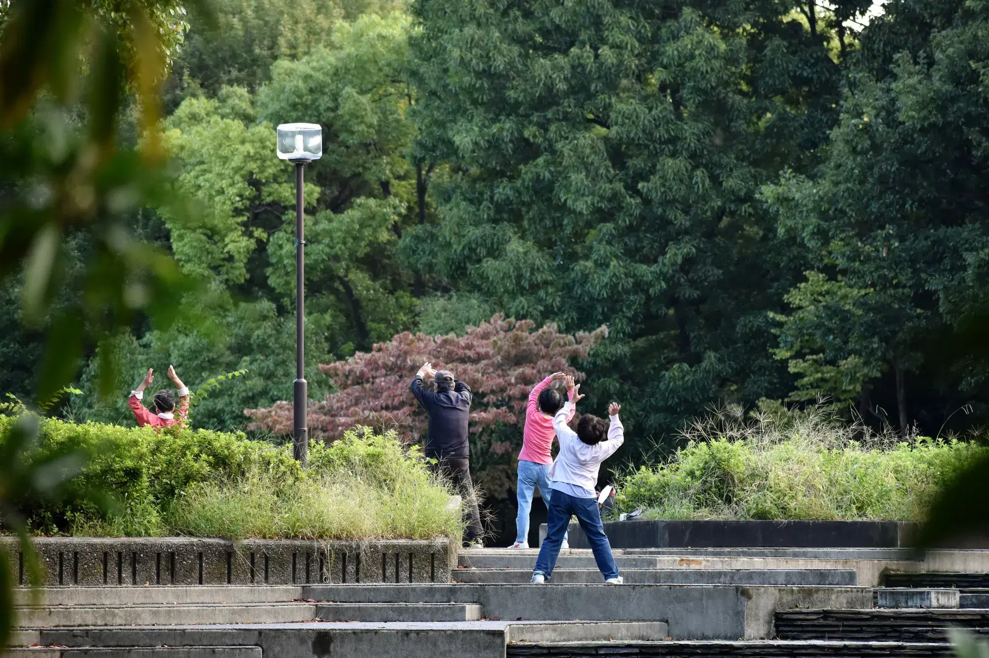 緑豊かな公園で、黒い服を着た男性、ピンクの服を着た女性、白い服を着た女性たちが手を挙げて運動を行っている様子。