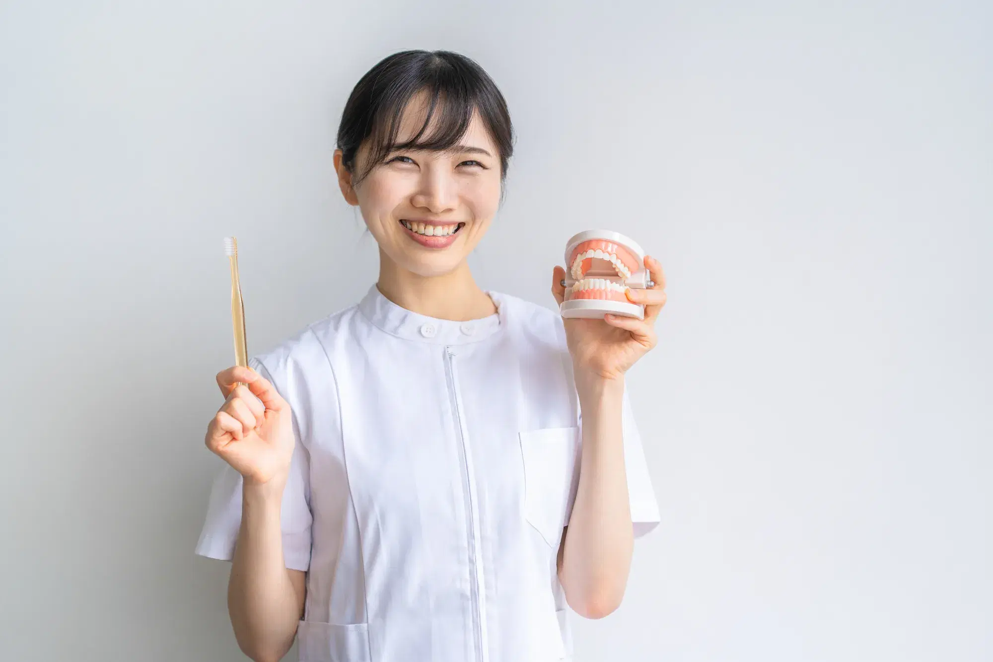 笑顔で歯の模型と歯ブラシを持つ白い半そでの服を着た女性