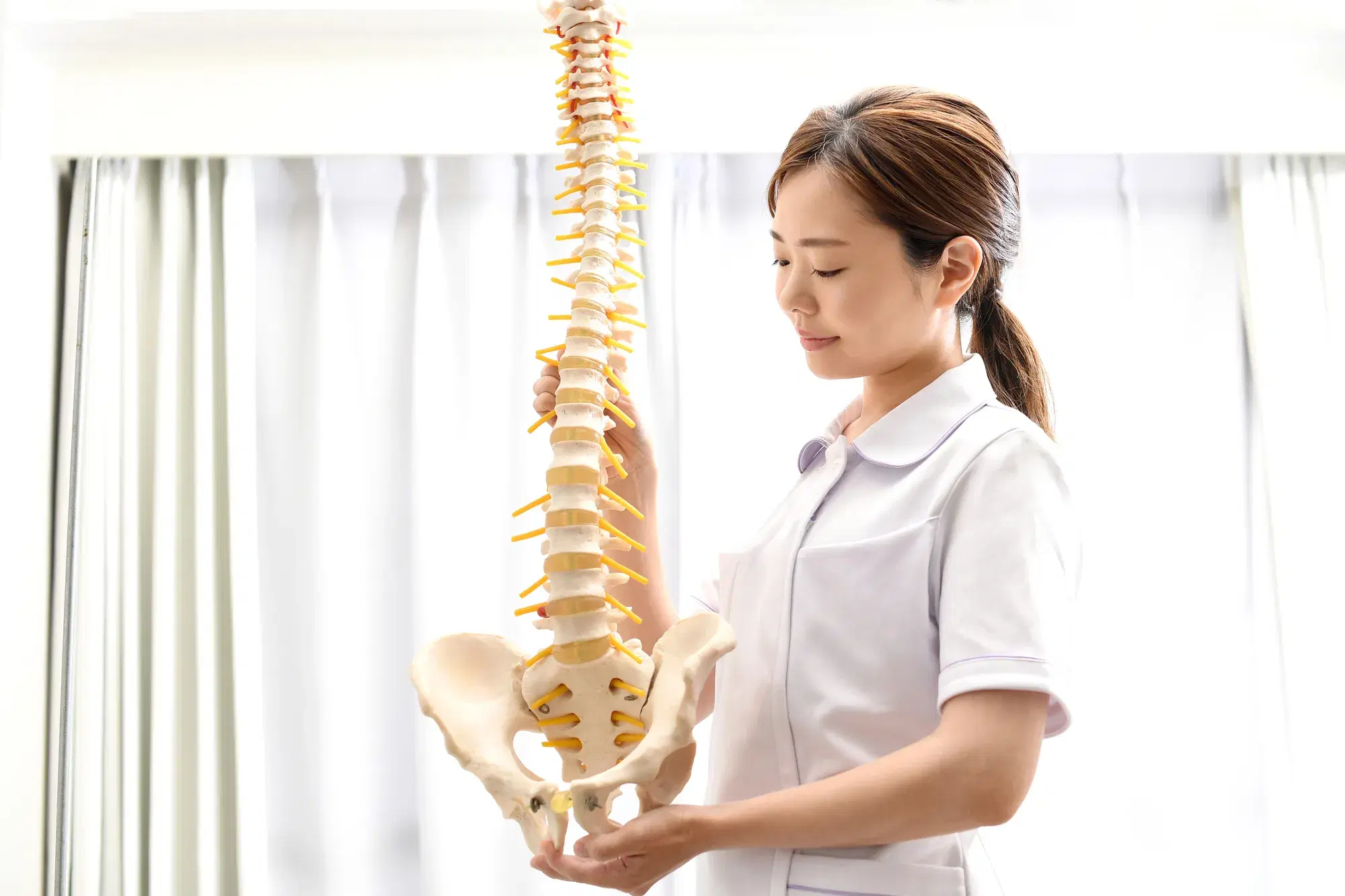 白い服を着た女性の整体師が腰のあたりの骨の模型を持っている