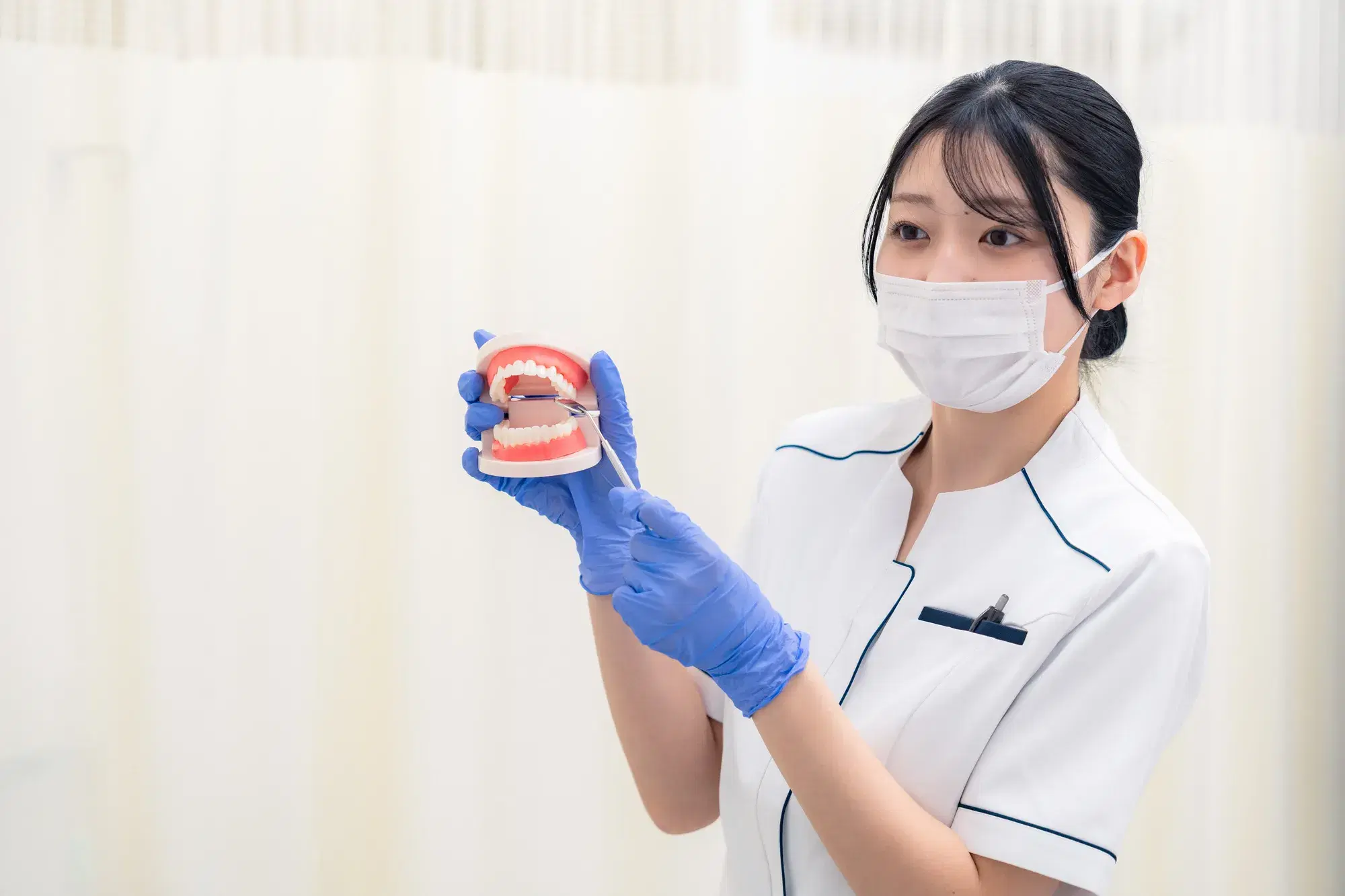 セクション画像