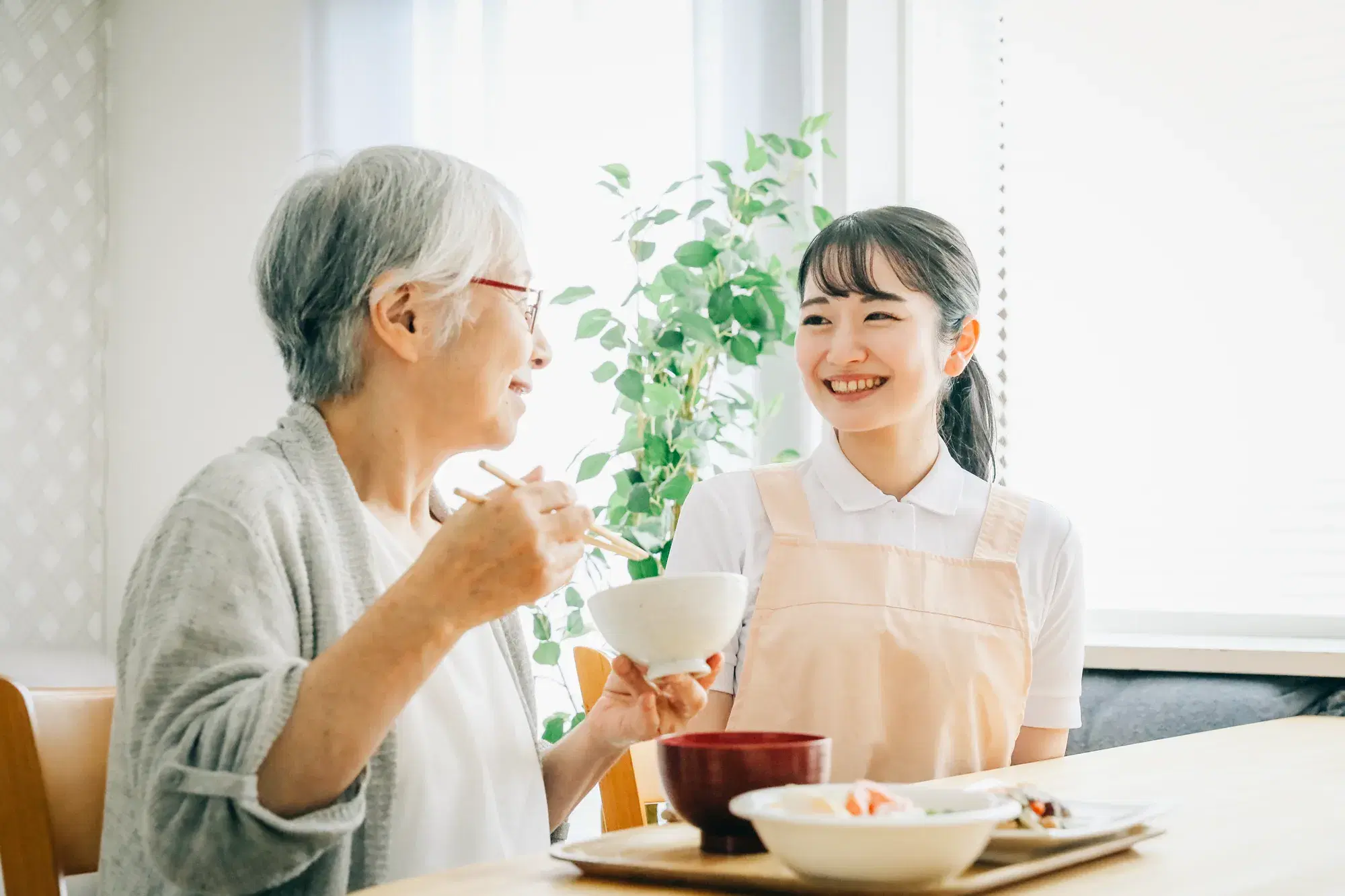 介護食士とは?国家資格なのか?取得方法や3級と通信教育を解説の記事画像